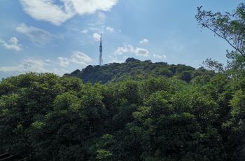 萧山区西山公园攻略,萧山区西山公园门票 游玩攻略 地址 图片 门票价格 