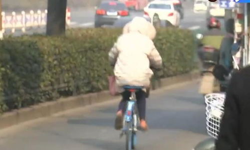 女子骑共享单车没刹住车摔断腿,母亲找哈罗单车索赔,能讹就讹