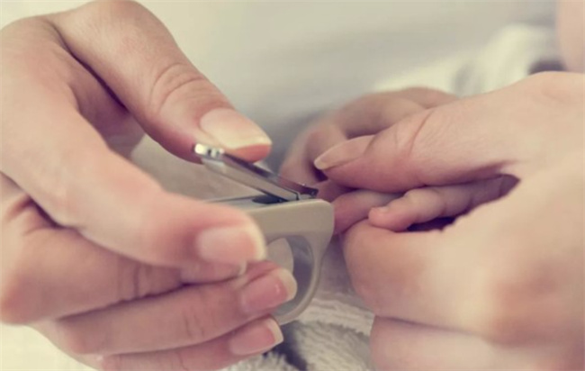 新生儿的指甲能剪吗
