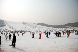 沈阳棋盘山滑雪场电话,沈阳棋盘山滑雪场订票电话,售票电话