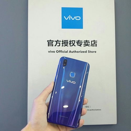 vivoz3i报价 vivoz3保险套装是什么 