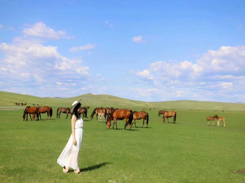 去内蒙古旅游有哪些好玩的地方可以推荐 推荐理由