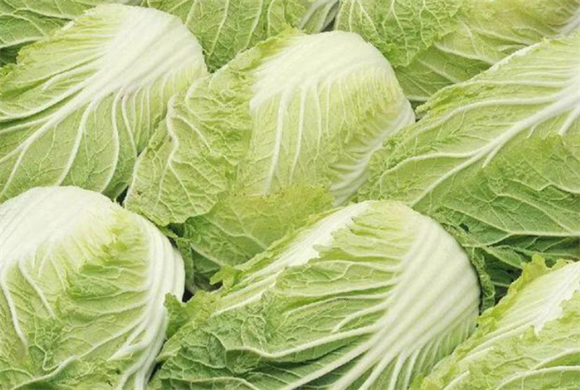 生食水生蔬菜有感染肝片形吸虫病风险吗，该如何正确吃蔬菜