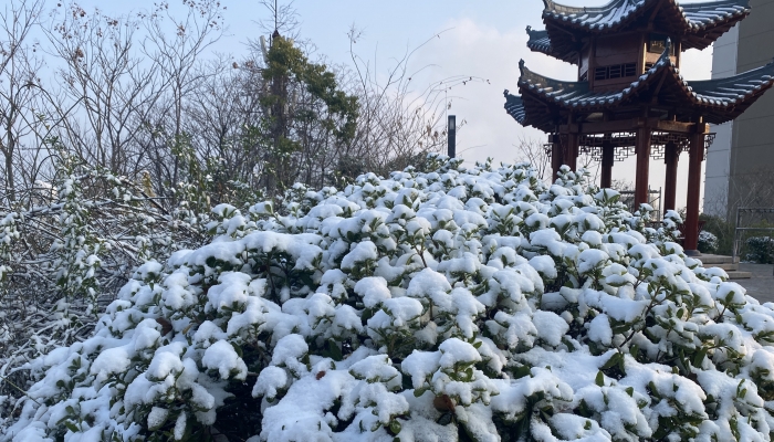 今天江苏较强降雪持续局地将有大雪 南京迎龙年第一场雪