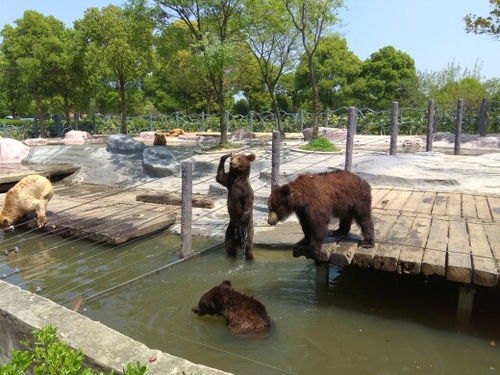 常州淹城野生动物园