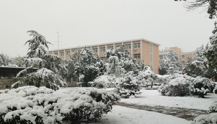 春节前山东将现大范围雨雪天气 青岛局地将有暴雪