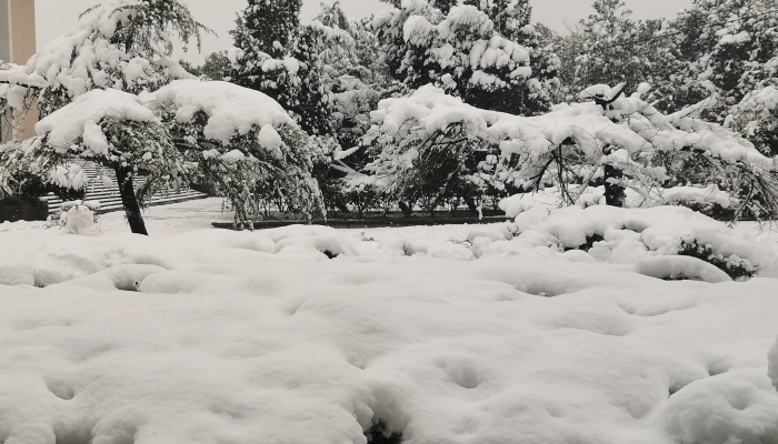 武汉暴雪来袭 今起三天降雪还将持续