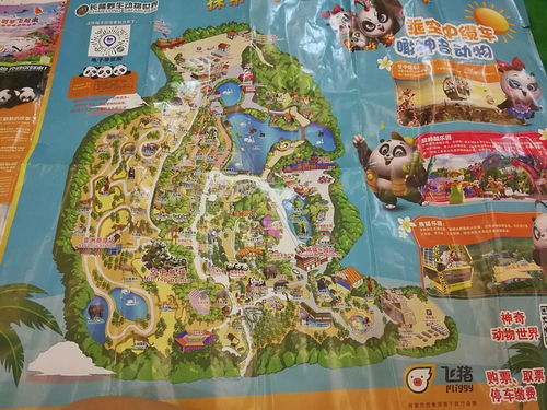 广州长隆野生动物园游览路线(广州长隆野生动物园入口在哪个门)