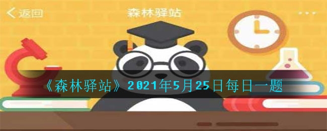 森林驿站2021年5月25日每日一题