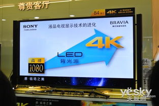 至尊画质体验 索尼4K电视体验会上海站落幕 