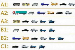 c1驾照能开蓝牌货车吗(c1能开5米2的蓝牌货车吗)