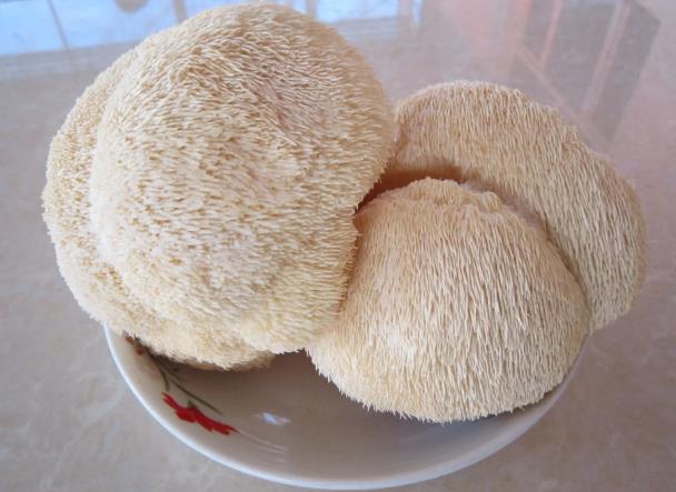 海林市特产-海林猴头菇