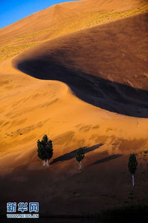 行走 壮美的巴丹吉林沙漠