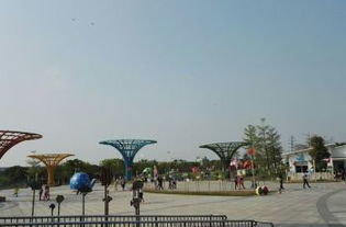 广州南沙儿童公园攻略,广州南沙儿童公园门票 游玩攻略 地址 图片 门票价格 