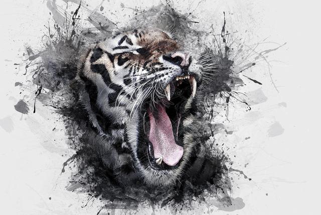 做梦梦到老虎是凶是吉 做梦见到老虎什么意思