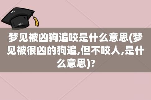 梦见疯狗咬人 梦见疯狗咬别人