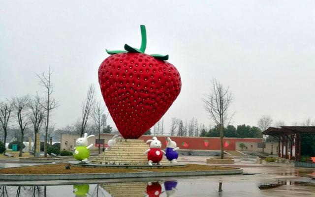中国草莓之乡——江苏省镇江市句容市