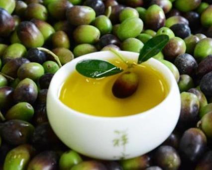康县特产-甘肃油橄榄