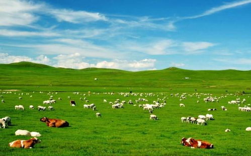 什么时候去内蒙古旅游比较好,内蒙古呼伦贝尔大草原在哪里好玩吗 