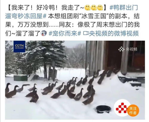 2024年广东过年的天气-2024广东会下雪吗