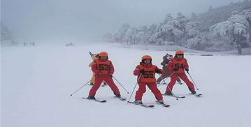 庐山滑雪场门票,庐山滑雪场门票预订,庐山滑雪场门票价格,去哪儿网门票 