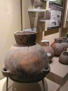 在半坡遗址的发掘过程中,考古人员发现一个罐子里储存了芥菜子之类的种子,这个罐子可能是什么 