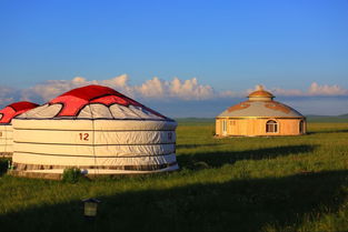 夏季去内蒙古旅游,那个草原最美呢 