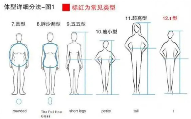 ​人标准身材比例是多少，腿长和身长比例是多少