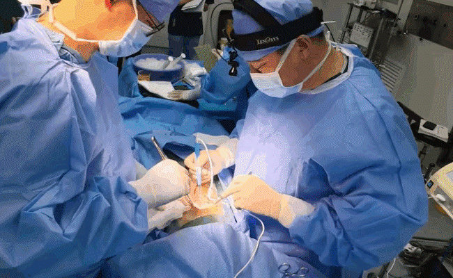 猪到人的临床辅助异种肝移植手术在安徽完成，有何意义