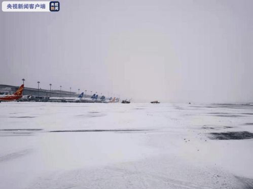 受降雪影响 大连机场已取消航班14班 计划关闭跑道至11时