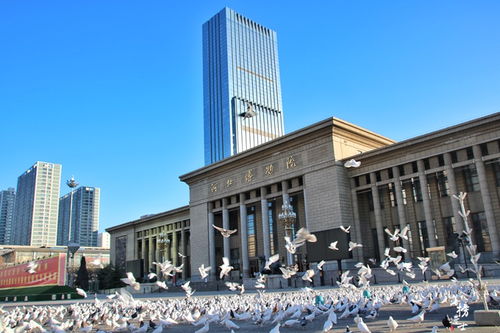 河北省博物馆地址在哪(河北省博物馆营业时间)