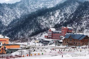 一日游 周日 西岭雪山 一场雪,就让它美到没朋友 