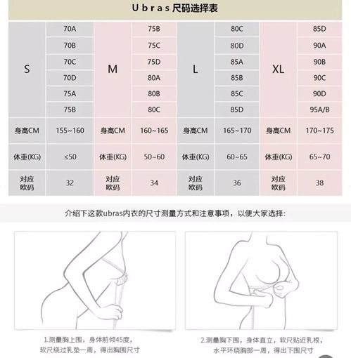 36AB胸罩尺码详解