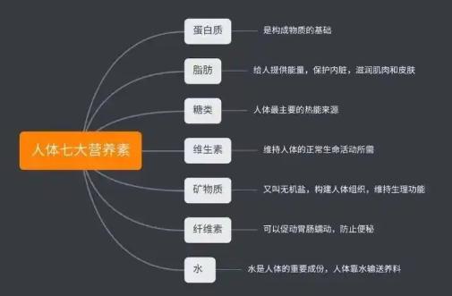 营养学的基础知识 简述营养师要学的基本知识